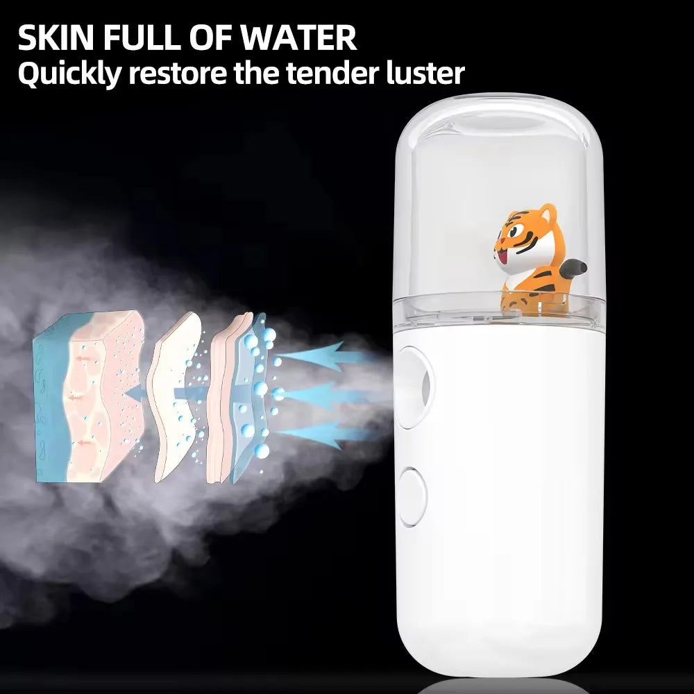 USB Mini Humidifier Facial Steamer